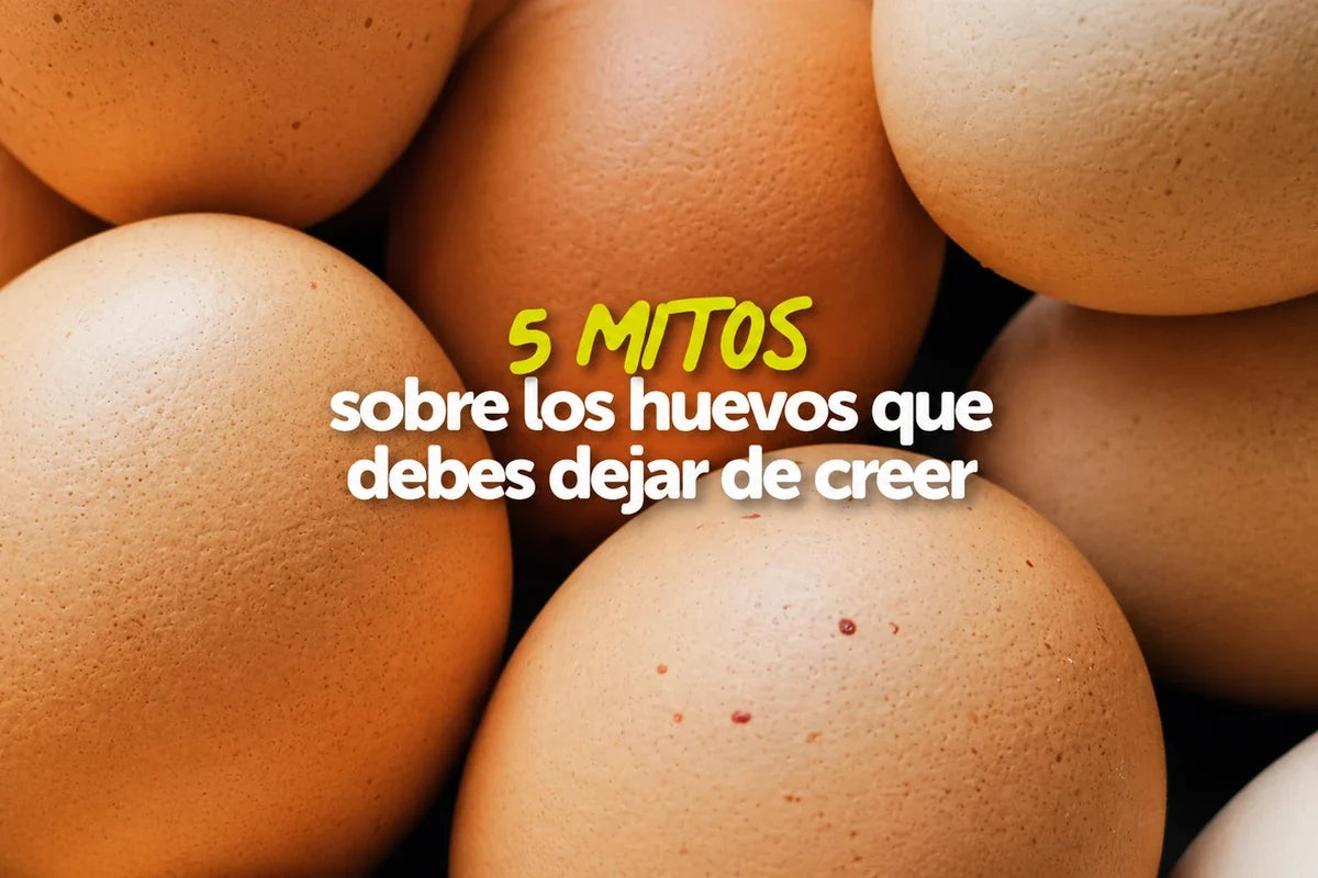 5 Mitos sobre los huevos que debes dejar de creer