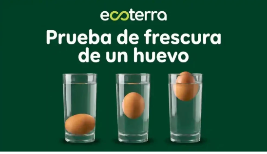 Prueba infalible para conocer la frescura de tus huevos: fácil y rápida