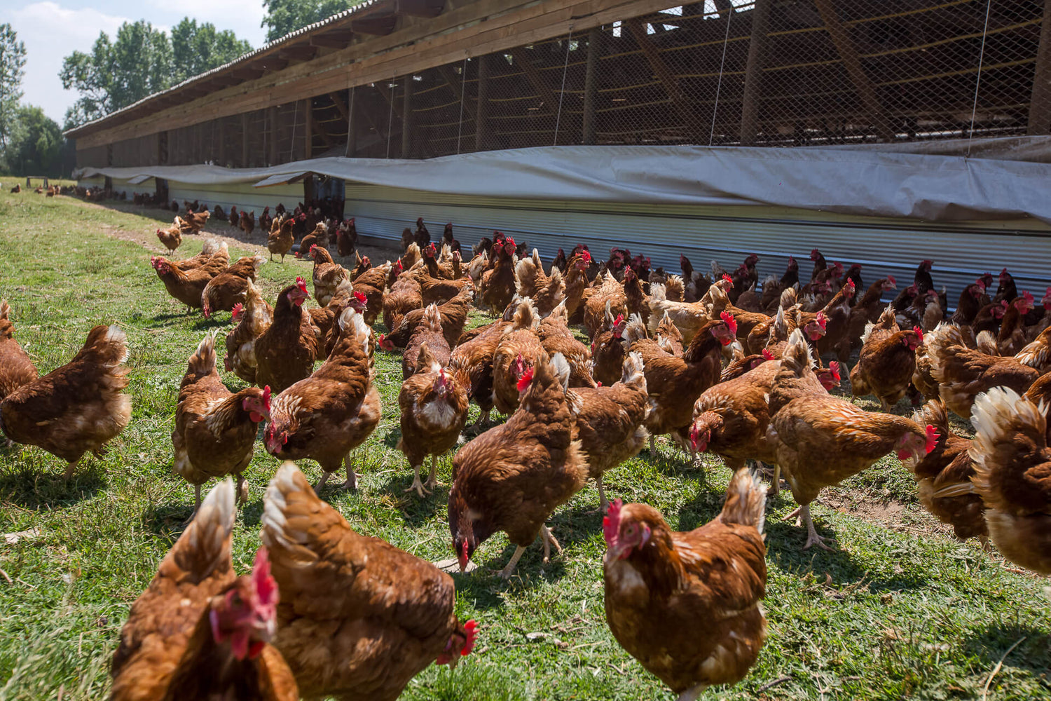 Ecoterra: Una Invitación a Cambiar el Mundo
