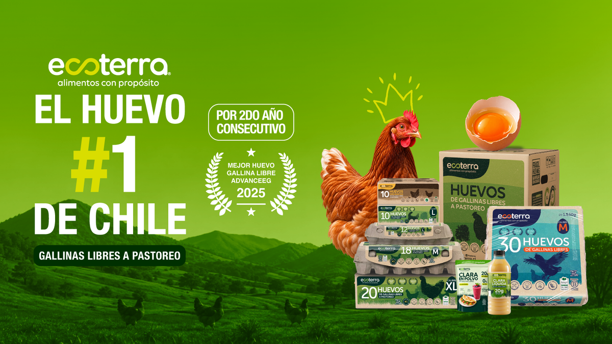 Ecoterra gana por 2do año consecutivo el premio a mejor huevo de Chile