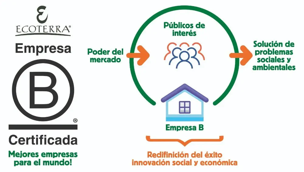 Infografía de certificación Empresa B de Ecoterra que explica cómo utiliza el poder del mercado para resolver problemas sociales y ambientales.