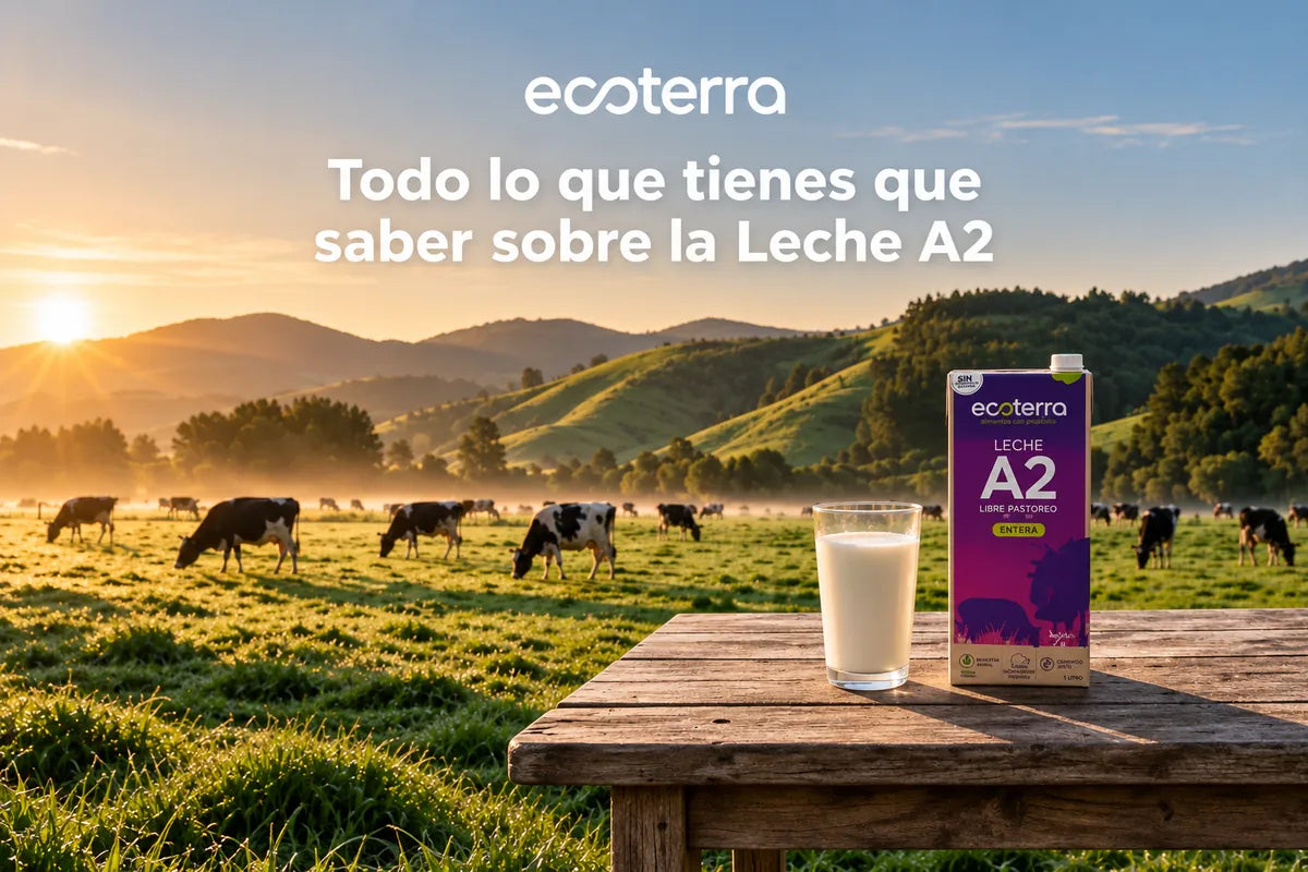 Leche A2: contiene beta-caseína A2 y no beta-caseína A1. Mejora la digestión de forma natural.