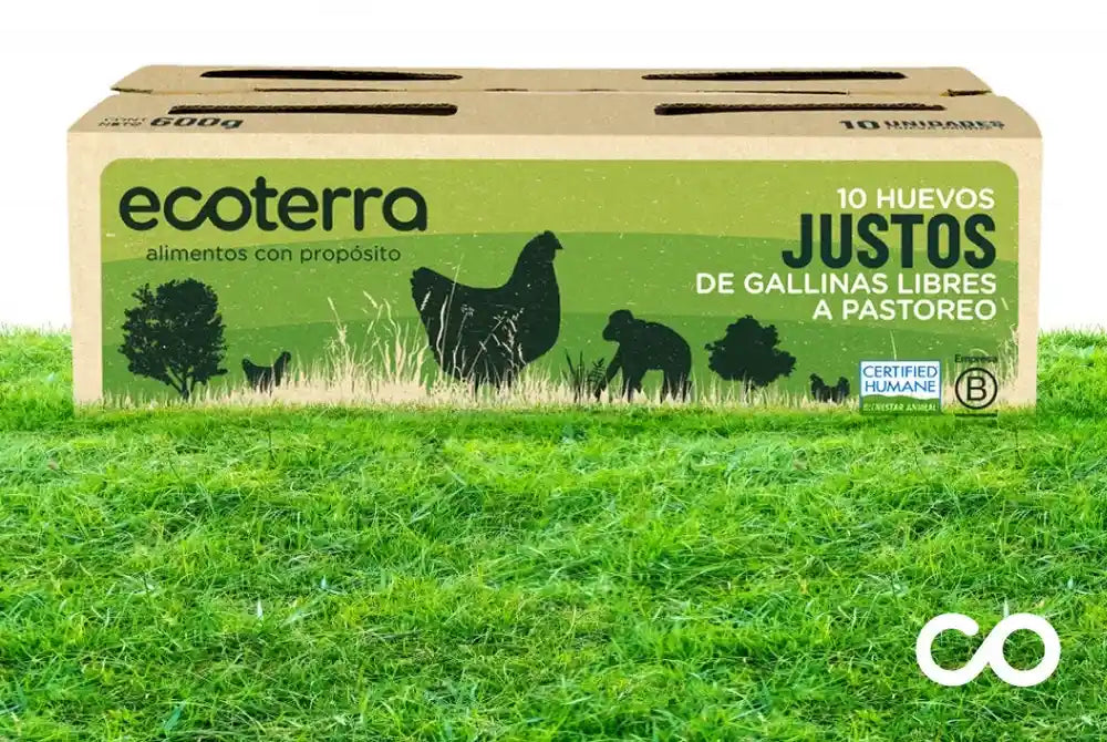 Caja de 10 huevos justos de gallinas libres a pastoreo Ecoterra de 600g sobre pasto verde con sello de bienestar animal Certified Humane y Empresa B.