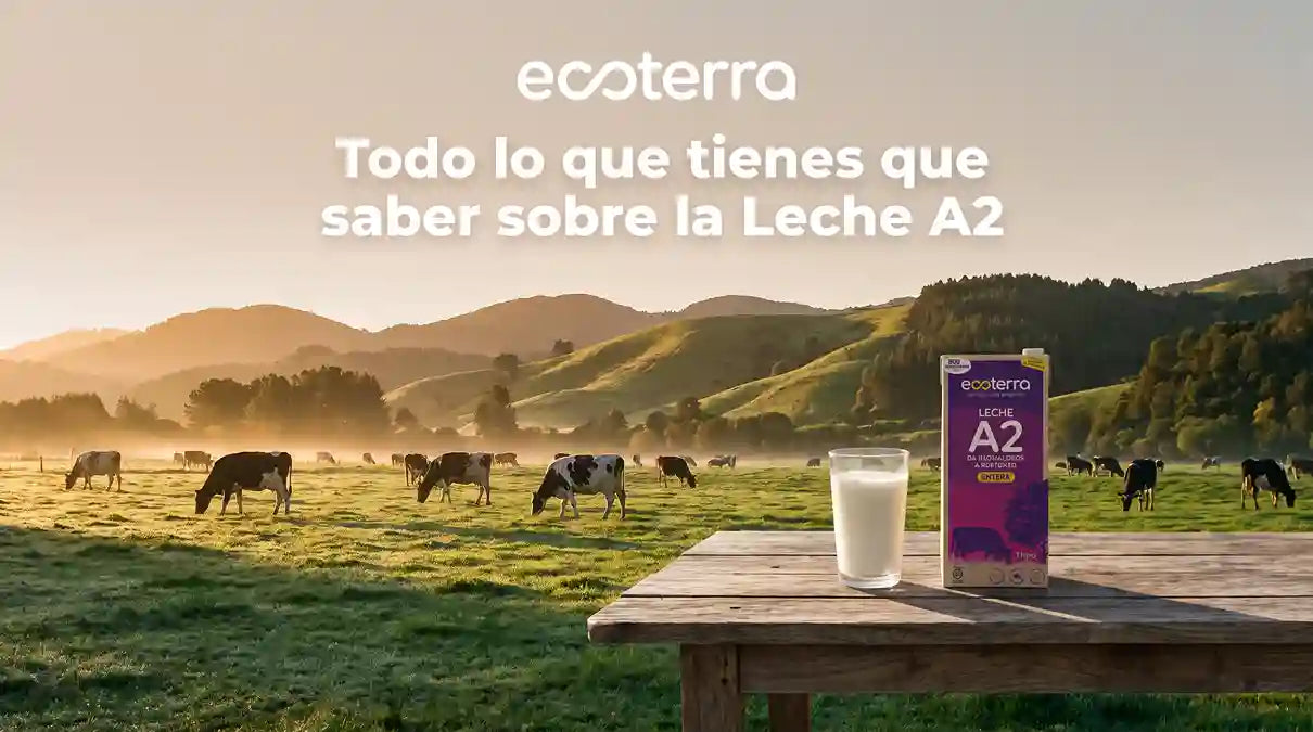 Leche A2: qué es, por qué está creciendo en el mundo y qué dice la ciencia sobre su digestión