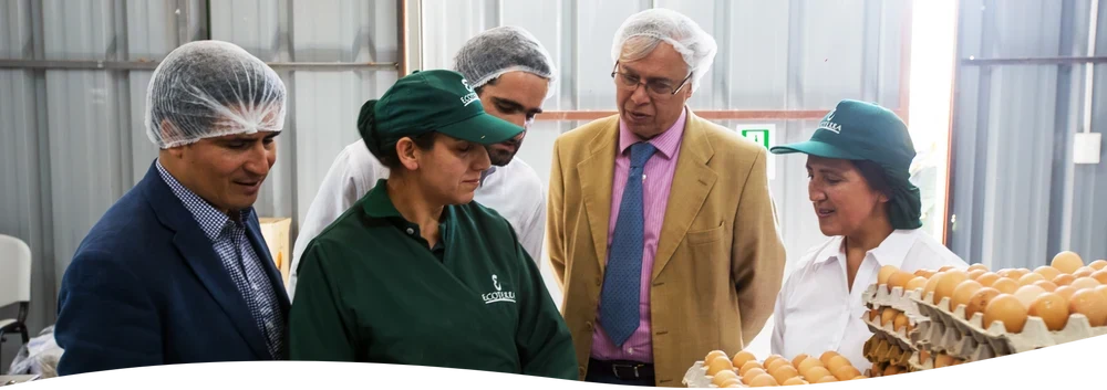 El Ministro de Agricultura Carlos Furche inspecciona empaques de huevos de gallinas libres a pastoreo junto al equipo y productores EcoFarmers en la planta de Ecoterra Chile.