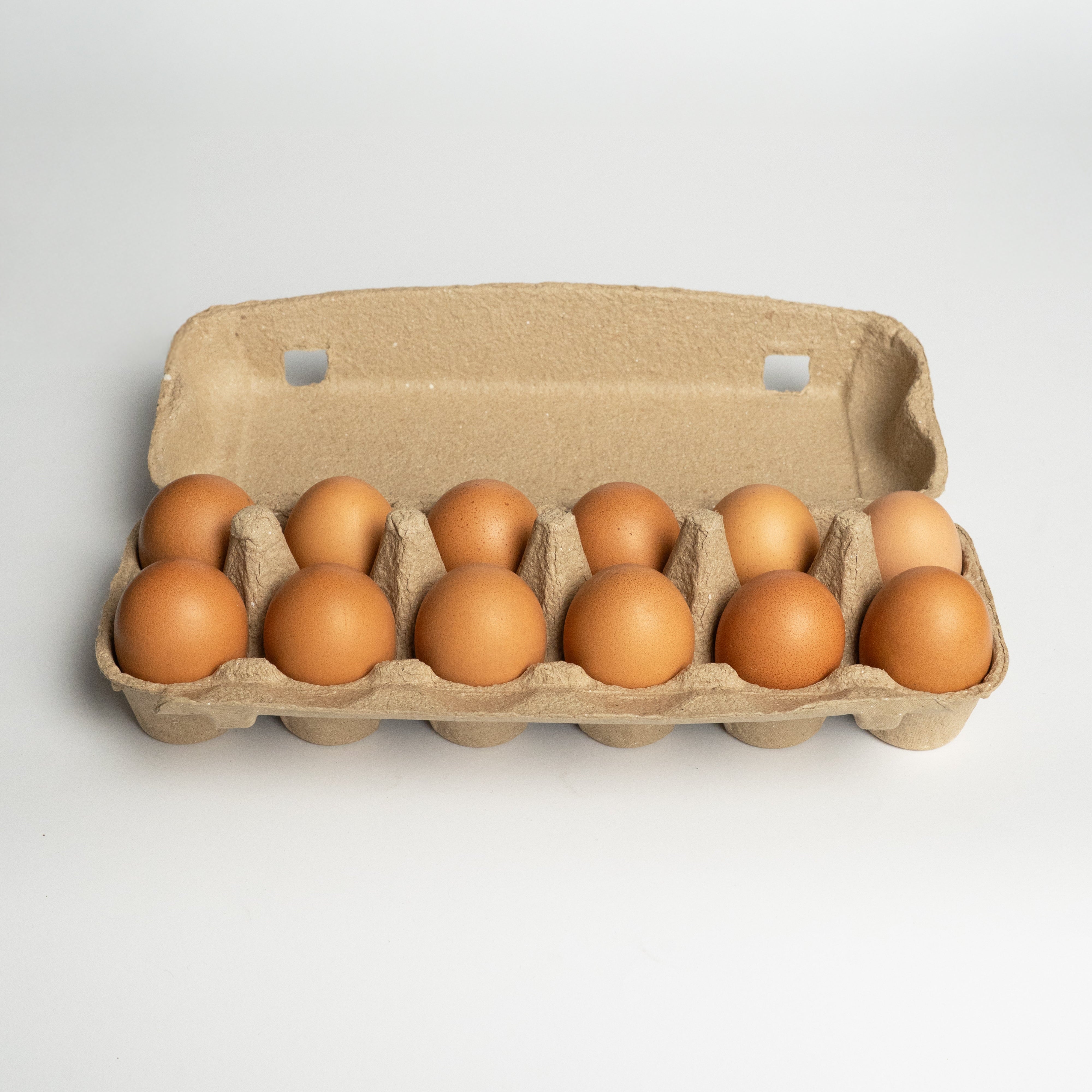 12 Huevos Gallinas Libre Ecoterra