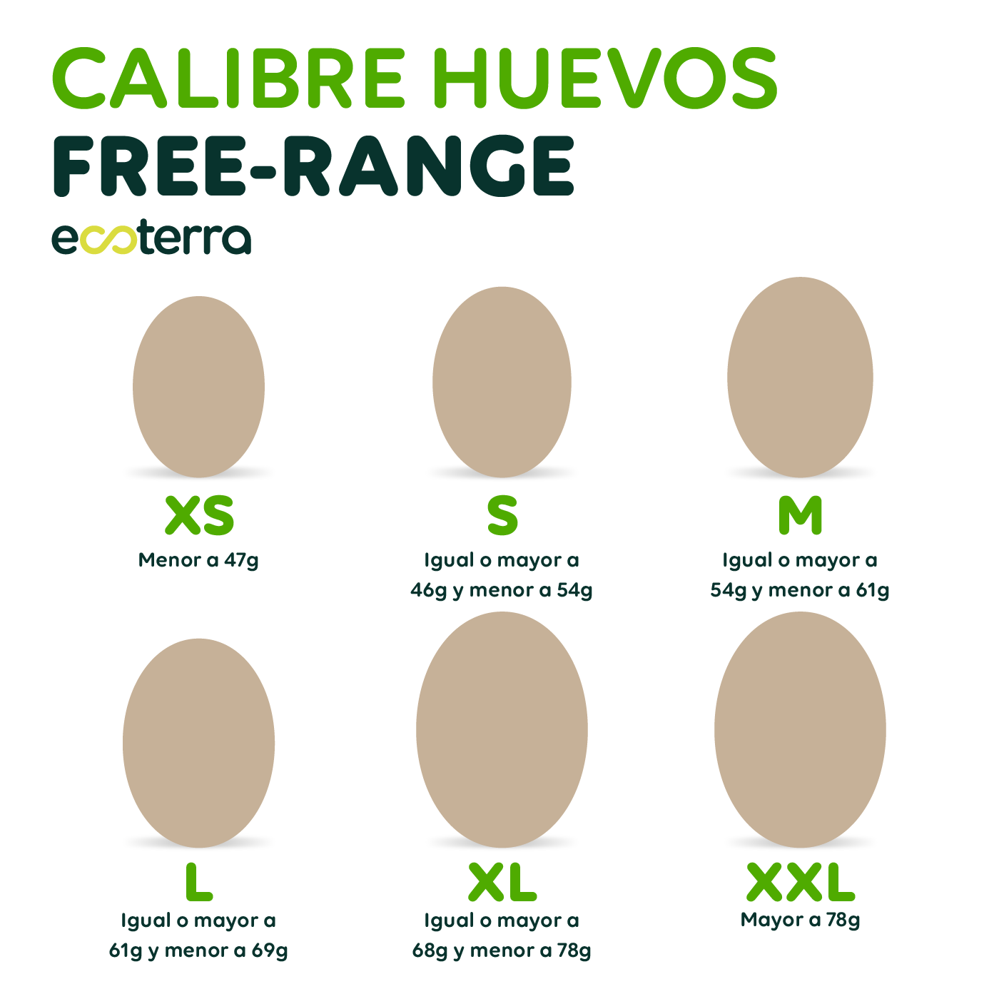 40 Huevos de Gallinas Libres - Calibre XXL Ecoterra