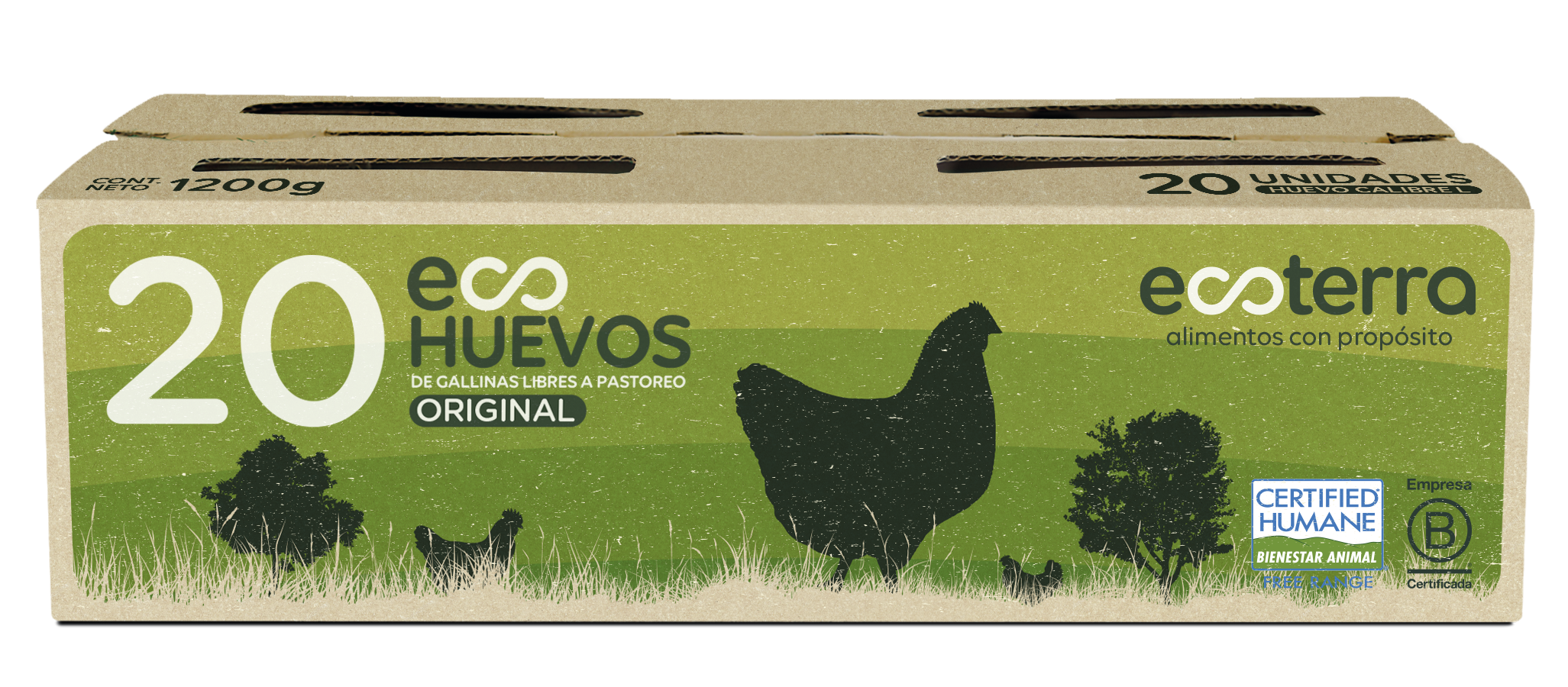 20 EcoHuevos de Gallinas Libres a Pastoreo