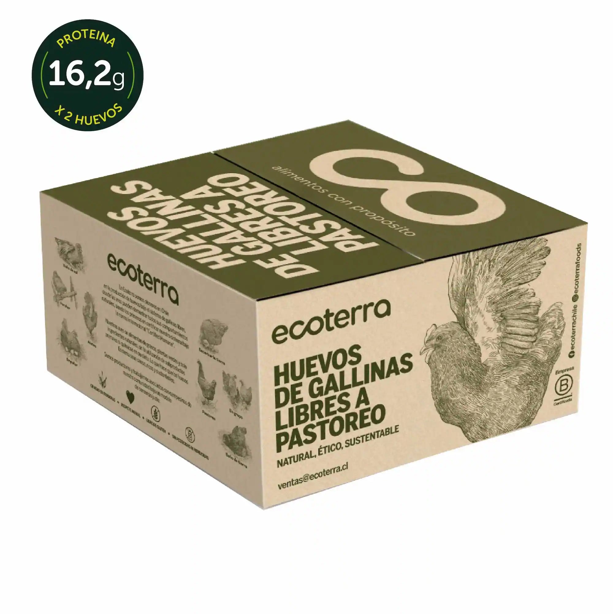 Caja de 40 huevos de gallinas libres a pastoreo XXL Ecoterra con certificación Certified Humane y 16,2g de proteína por cada 2 huevos.