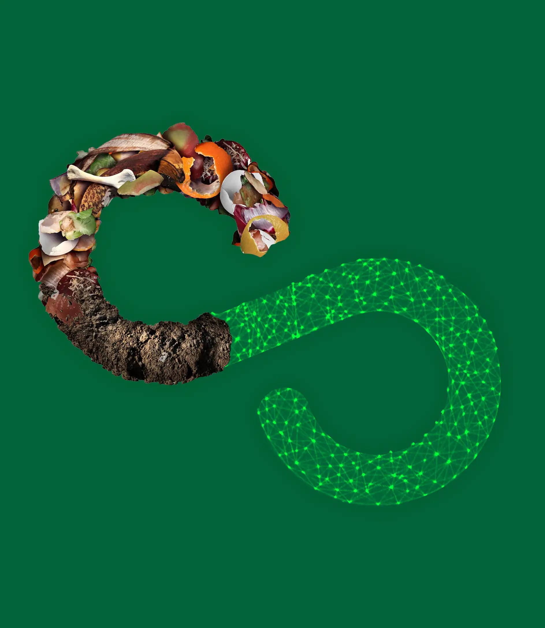 Representación visual de economía circular y compostaje en Ecoterra, conectando los residuos orgánicos con la agricultura regenerativa y la tecnología blockchain en Santiago de Chile