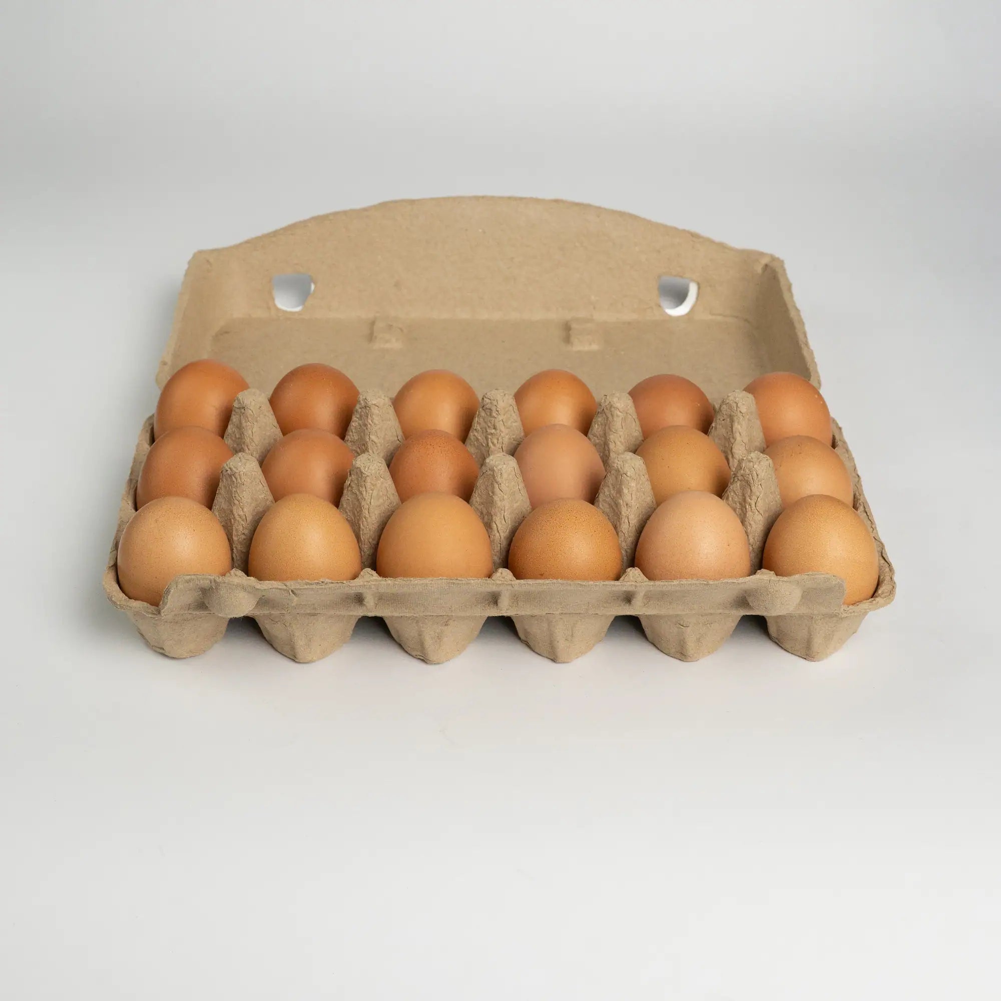 Estuche abierto de 18 huevos frescos de gallinas libres a pastoreo Ecoterra