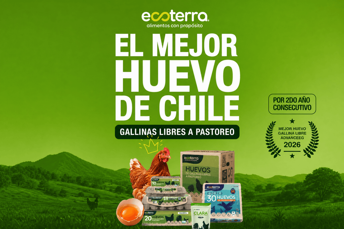 Ecoterra gana por segundo año consecutivo el premio Advancegg al Mejor Huevo de Gallina Libre de Chile