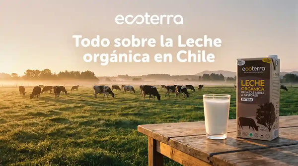 Leche y huevos orgánicos en Chile: por qué creemos que esta pequeña revolución recién comienza