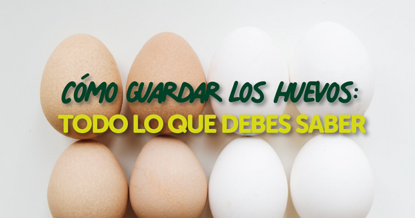 Cómo Guardar los Huevos: Todo lo Que Debes Saber