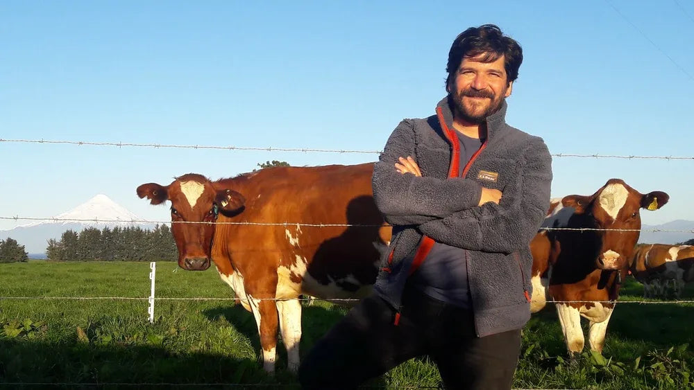 Fundador de Ecoterra junto a vacas de libre pastoreo en el campo chileno para la producción de leche orgánica y natural