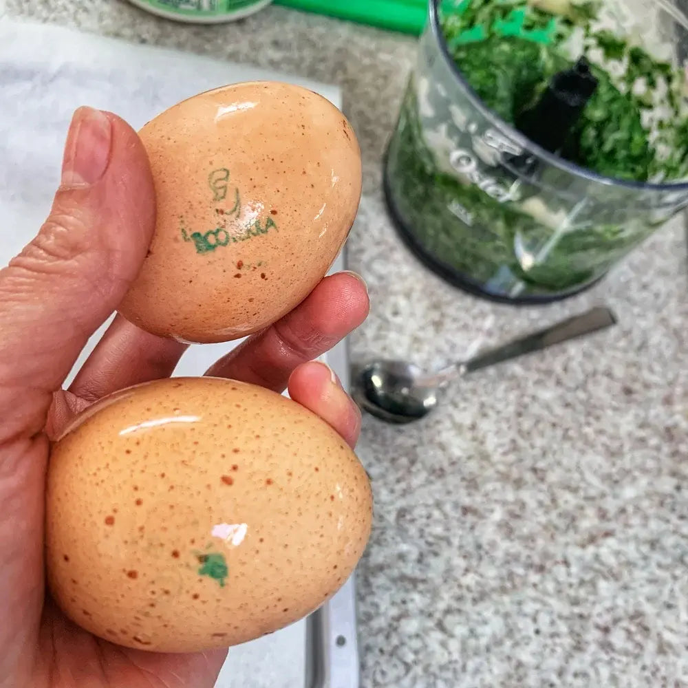 Mano sosteniendo huevos de campo Ecoterra de gallinas libres a pastoreo con sello de trazabilidad impreso en la cascara.