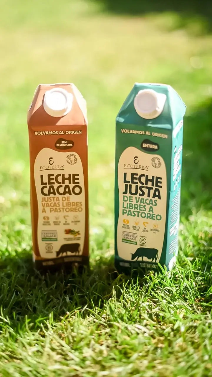 Envases de Leche Cacao y Leche Justa Entera Ecoterra sobre pasto verde, elaboradas con leche natural de vacas libres a pastoreo en Chile, con certificación Certified Humane y de Empresa B.