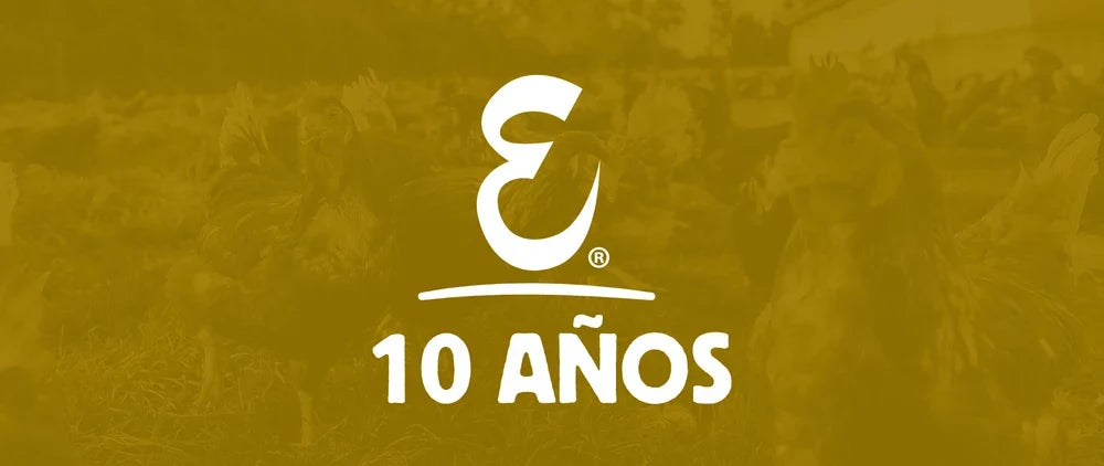 Logo blanco de Ecoterra con la leyenda 10 Años sobre un fondo verde oliva con gallinas libres a pastoreo, representando la trayectoria de la marca en producción ética en Chile.