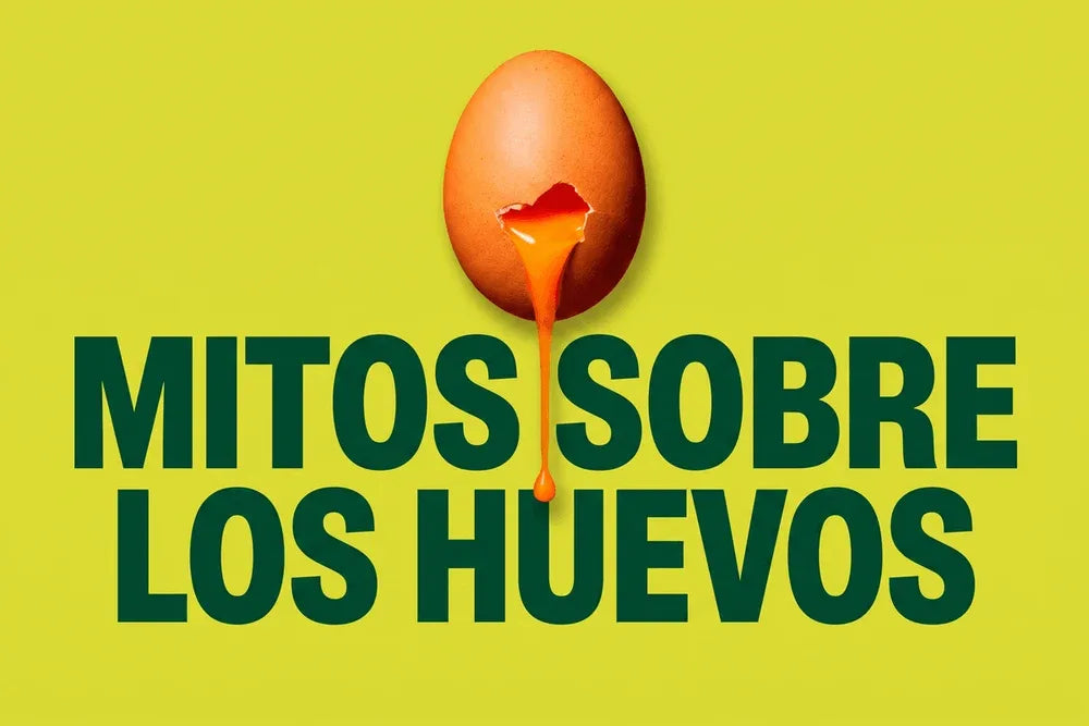 Baner sobre mitos sobre los huevos de gallinas libres a pastoreo Ecoterra que desmiente creencias sobre el colesterol y la nutricion real.
