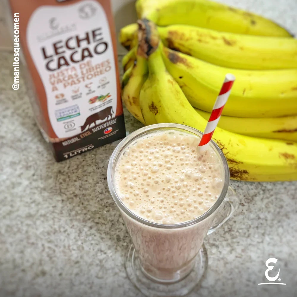 Batido de leche cacao vacas libres a pastoreo Ecoterra servido en vaso de vidrio junto a plátanos frescos para receta saludable sin azúcar ni aditivos artificiales.