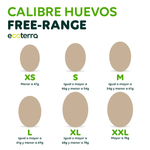 20 Huevos de Gallinas Libres a Pastoreo Ecoterra