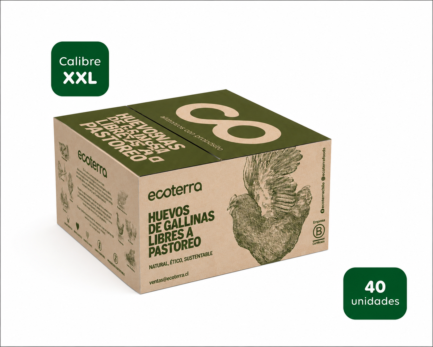 40 Huevos de Gallinas Libres - Calibre XXL Ecoterra