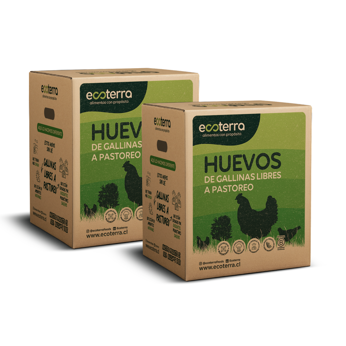 Pack Comparte