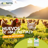 60 Huevos de Gallinas Libres - Calibre XL Ecoterra