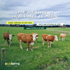 Caja 12 Lt - Leche Orgánica Ecoterra