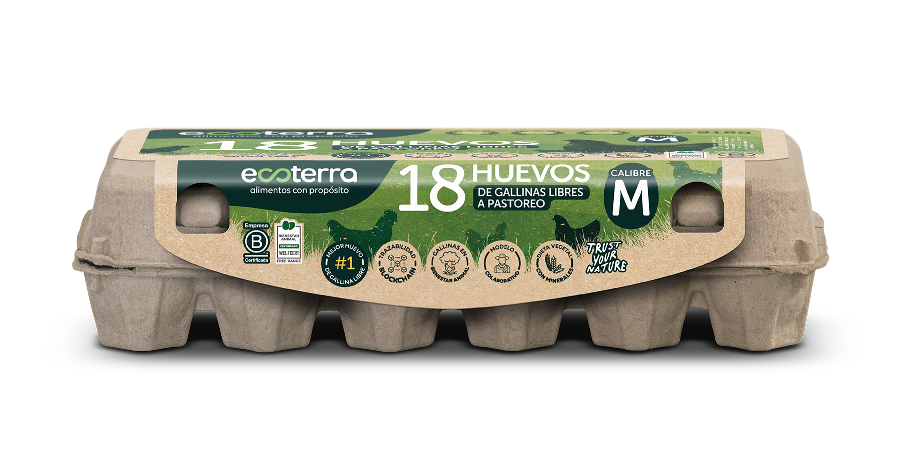 18 Huevos de Gallinas Libres Ecoterra