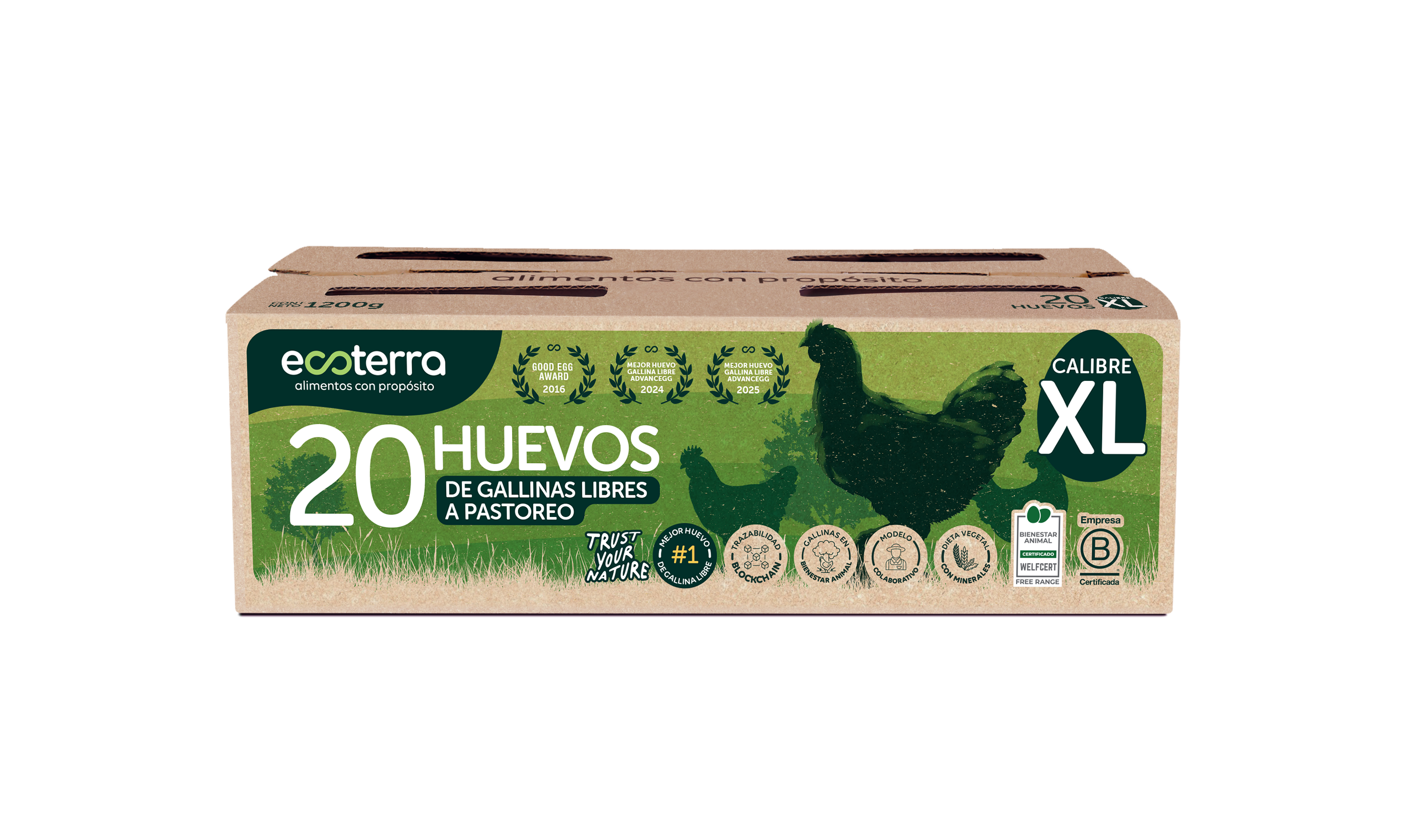 20 Huevos de Gallinas Libres a Pastoreo Ecoterra