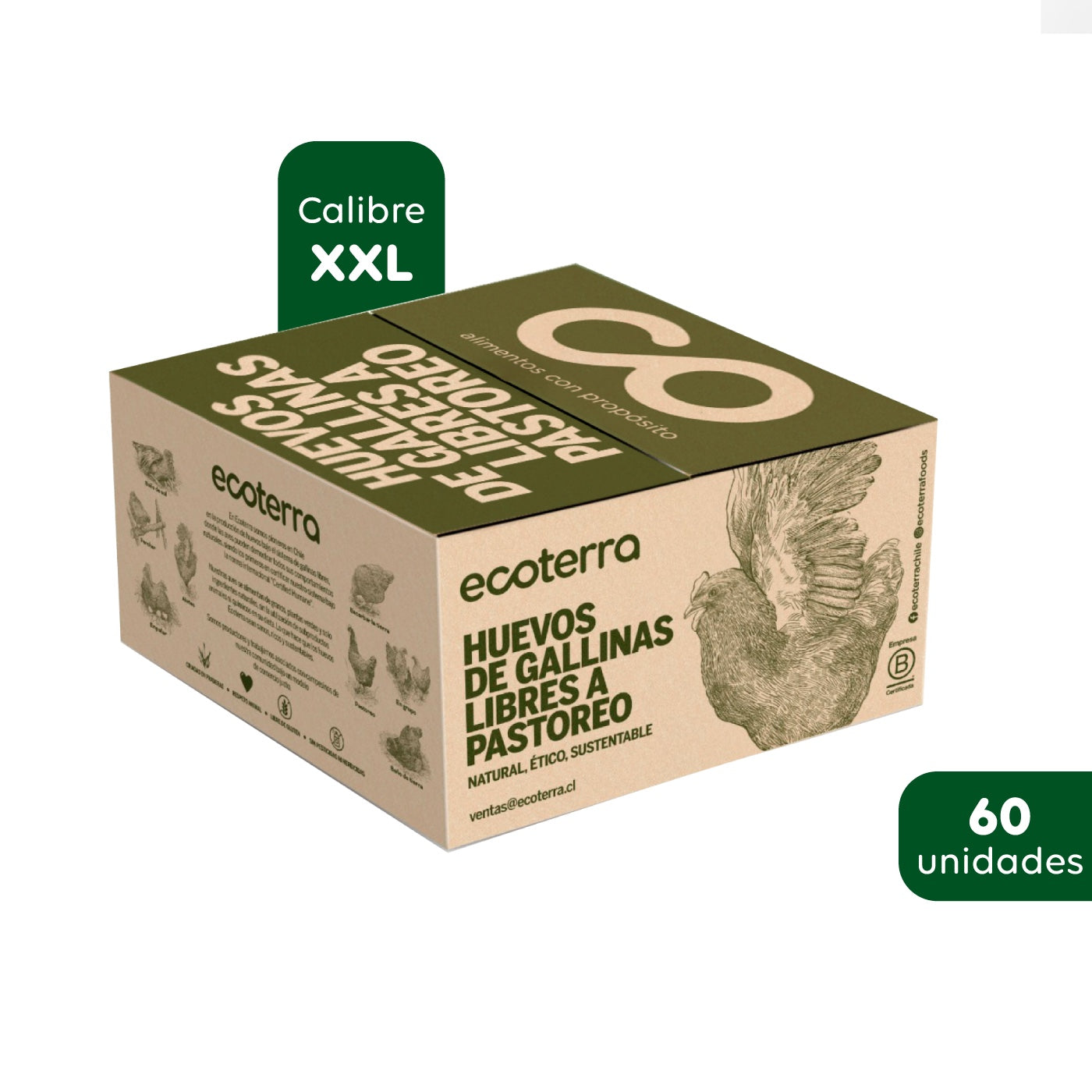 40 Huevos de Gallinas Libres - Calibre XXL Ecoterra