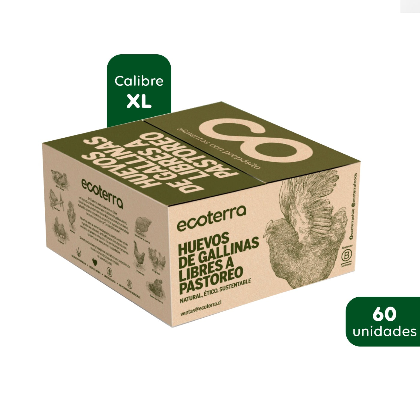 60 Huevos de Gallinas Libres - Calibre XL Ecoterra