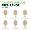 60 Huevos de Gallinas Libres - Calibre XL Ecoterra
