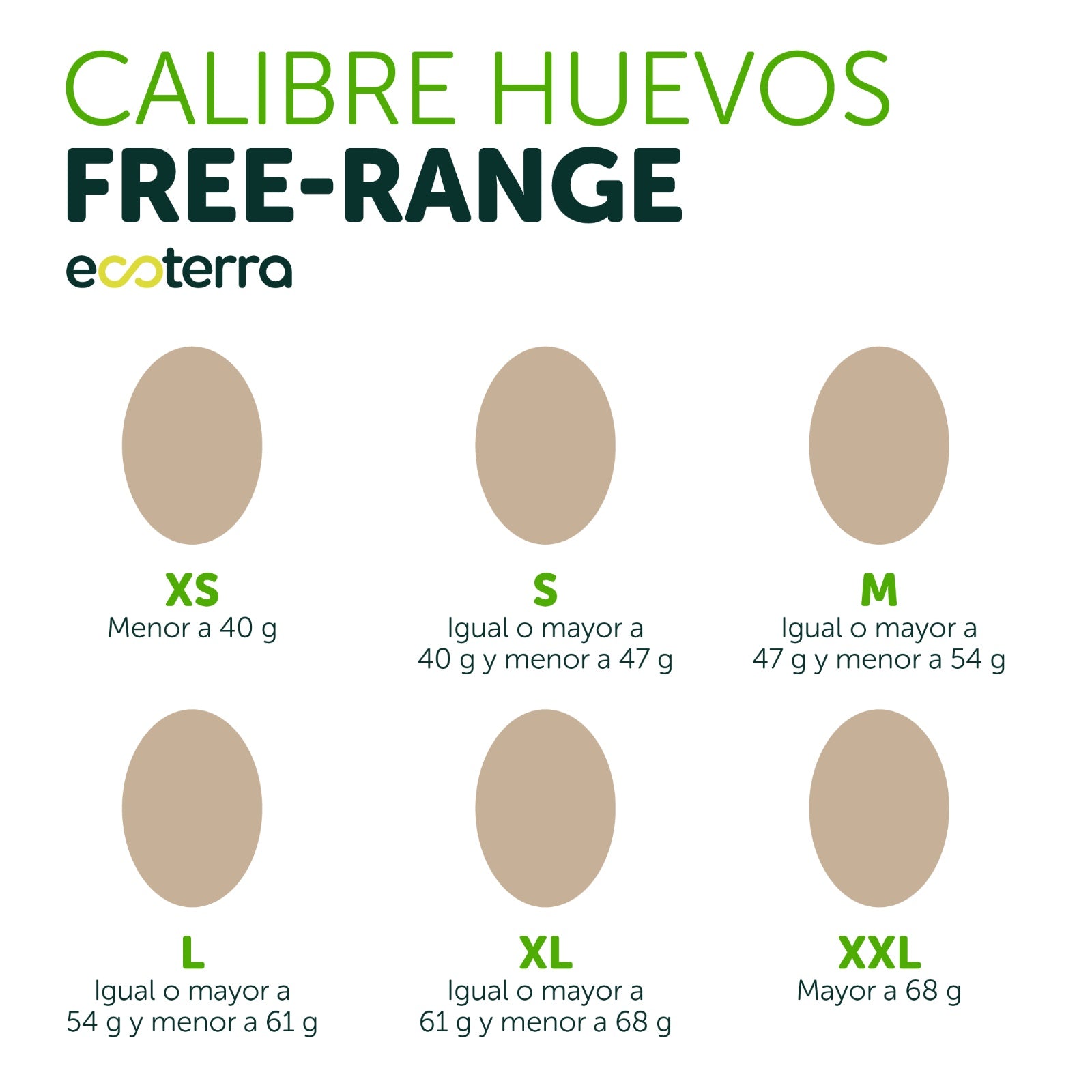 60 Huevos de Gallinas Libres - Calibre XL Ecoterra
