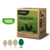 Caja máster de 100 huevos de gallinas libres a pastoreo Ecoterra XXL mostrando la clasificación de calibres M, L, XL y XXL en gramos.