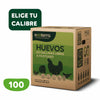 Caja máster de 100 huevos de gallinas libres a pastoreo Ecoterra con certificaciones Certified Humane y Empresa B.