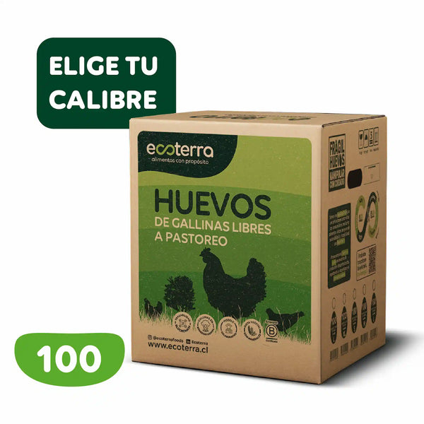 Caja máster de 100 huevos de gallinas libres a pastoreo Ecoterra con certificaciones Certified Humane y Empresa B.