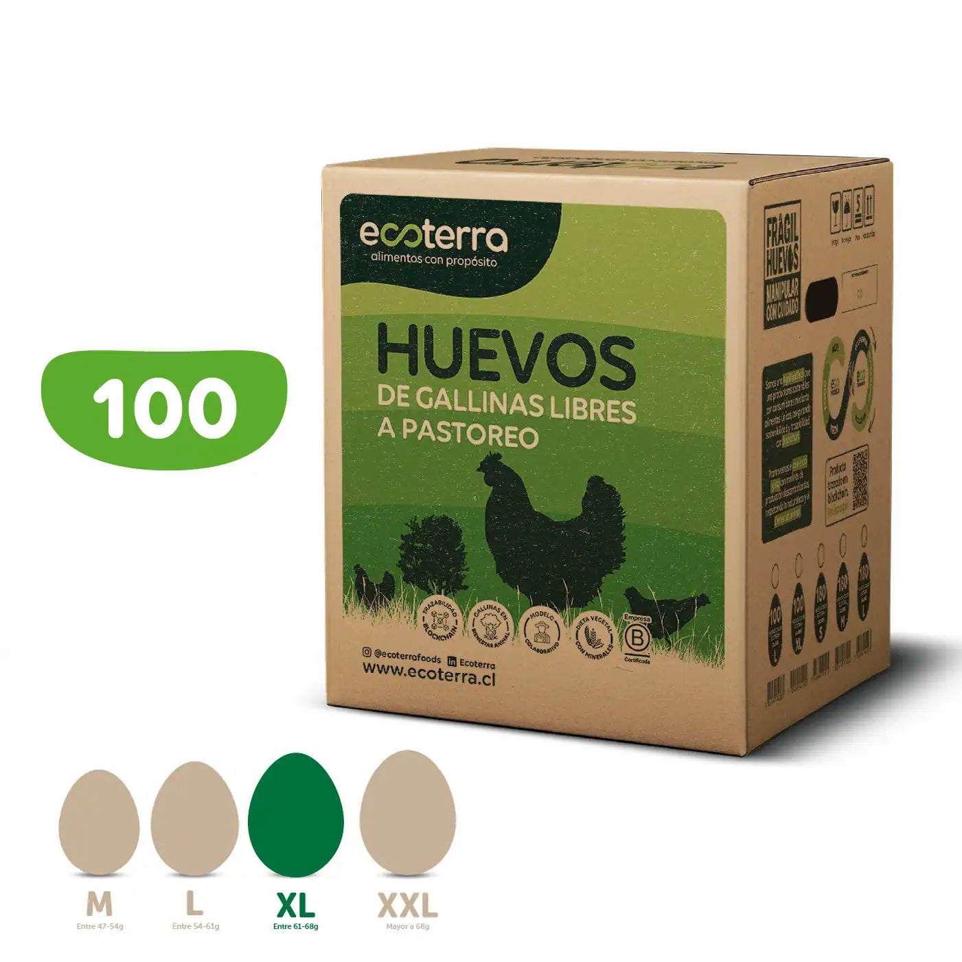 Caja máster de 100 huevos de gallinas libres a pastoreo XL Ecoterra mostrando la clasificación de calibres M, L, XL y XXL en gramos.