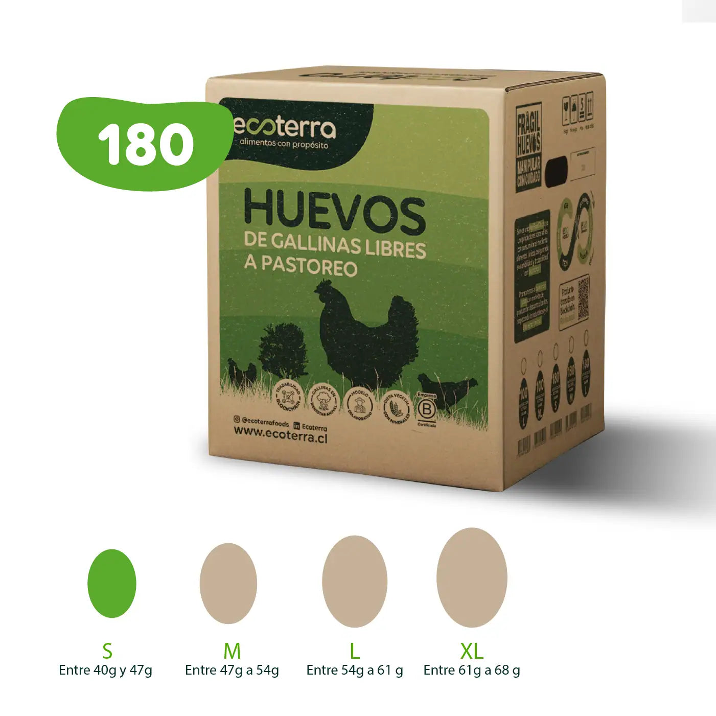 Caja máster de 180 huevos de gallinas libres a pastoreo Ecoterra mostrando la clasificación de calibres S, M, L y XL en gramos.