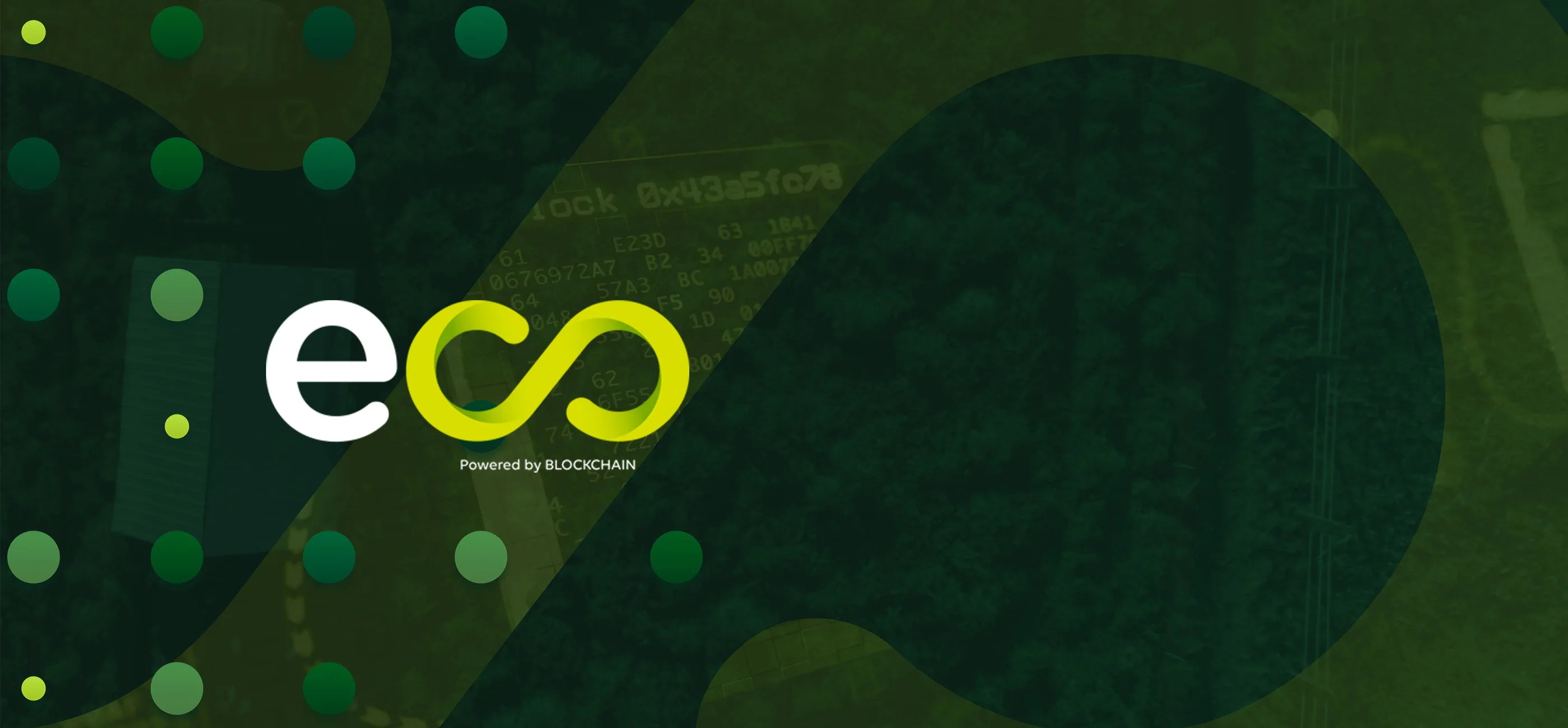 Fondo corporativo verde de Ecoterra con el logotipo oficial y la tecnología de trazabilidad por blockchain para alimentos orgánicos y sustentables.