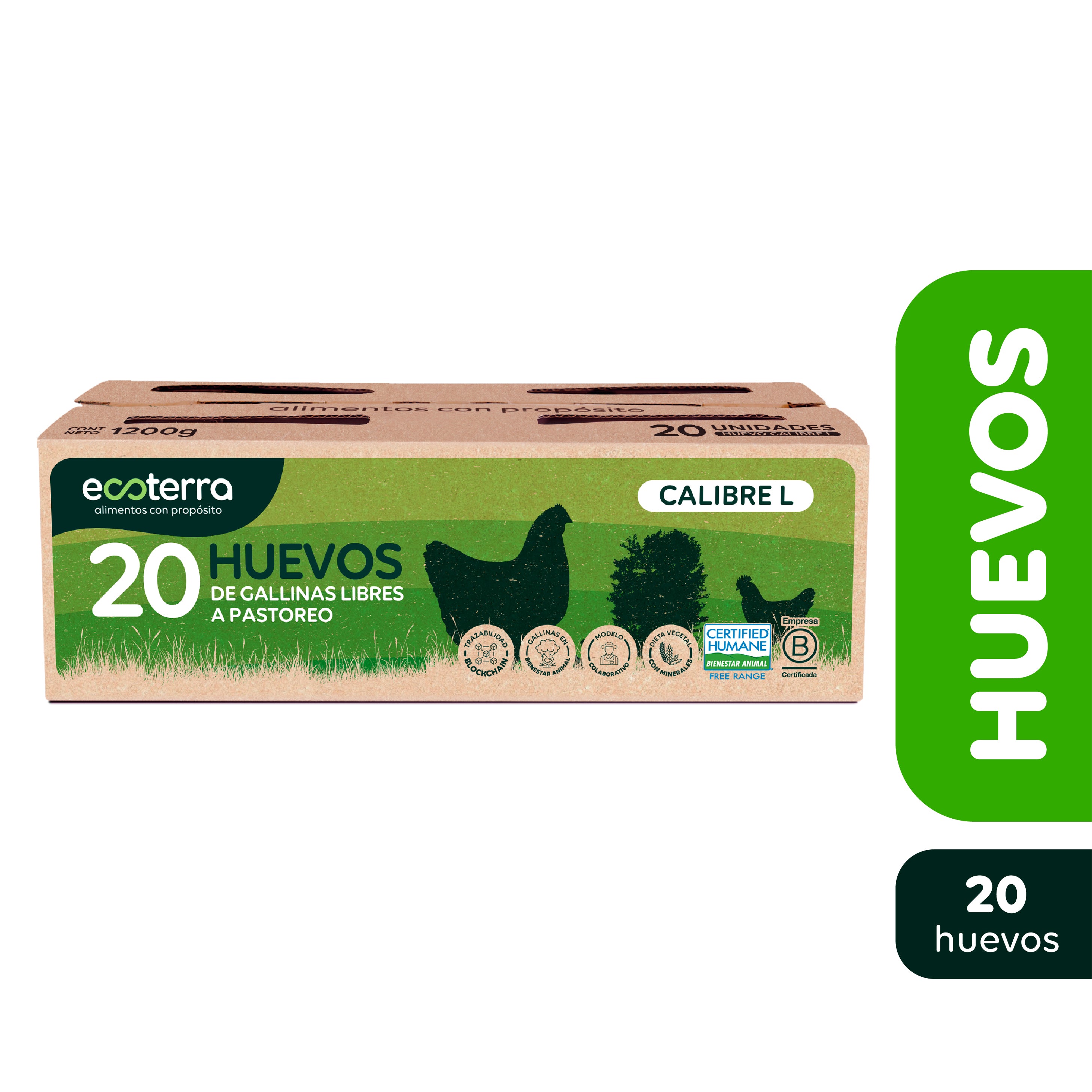 20 Huevos de Gallinas Libres a Pastoreo Ecoterra