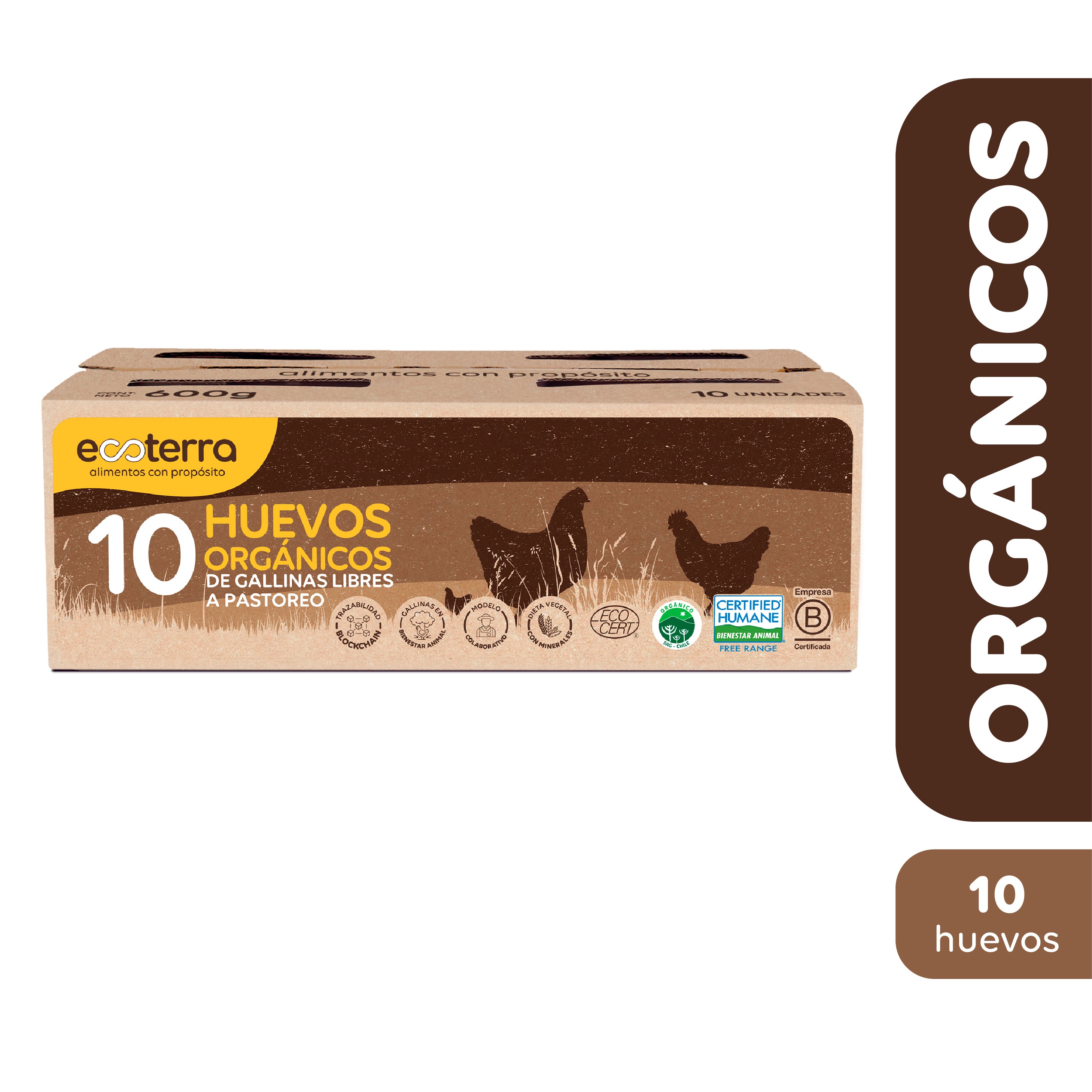 10 Huevos Orgánicos de Gallinas Libres a Pastoreo Ecoterra