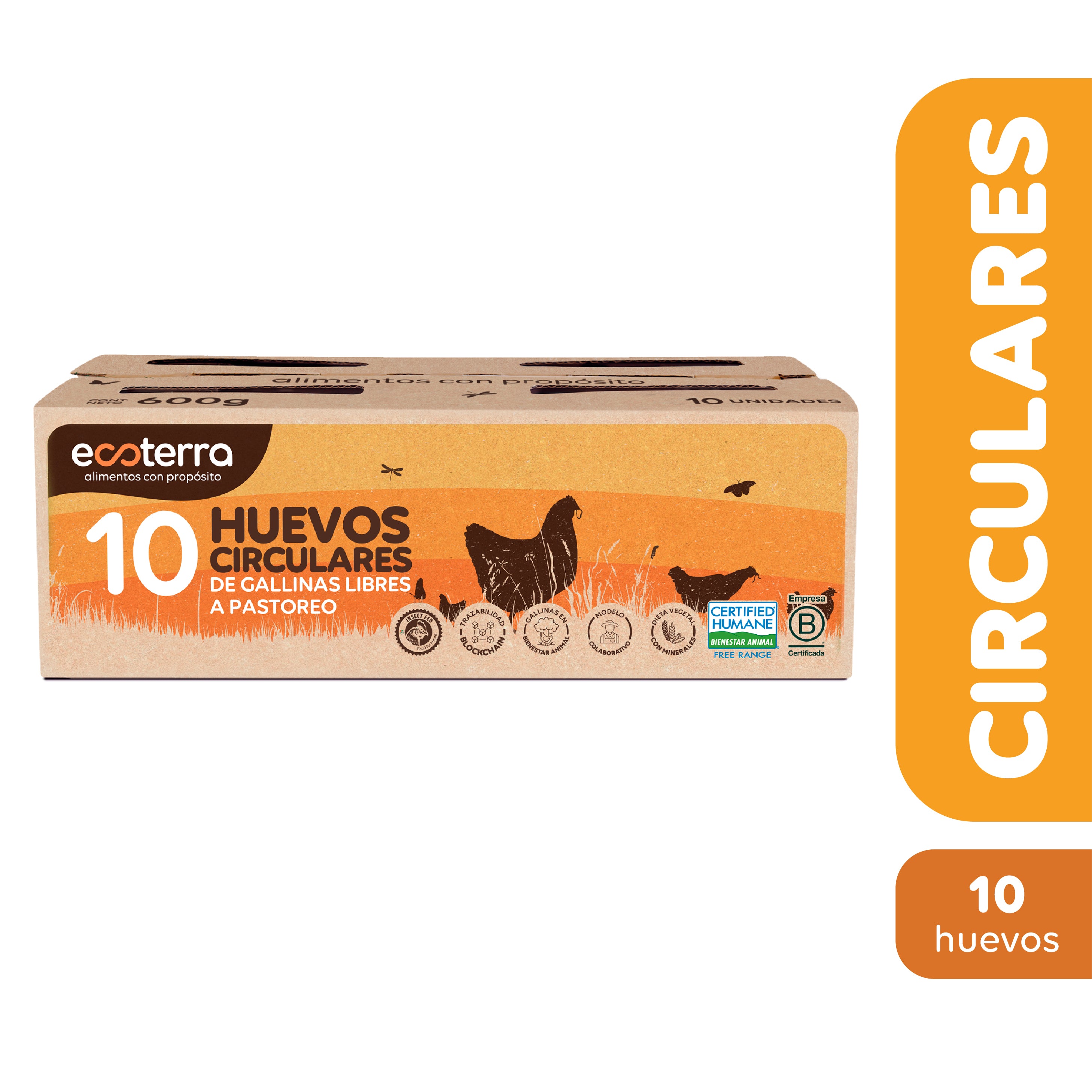 10 Huevos Circulares de Gallinas Libres a Pastoreo Ecoterra