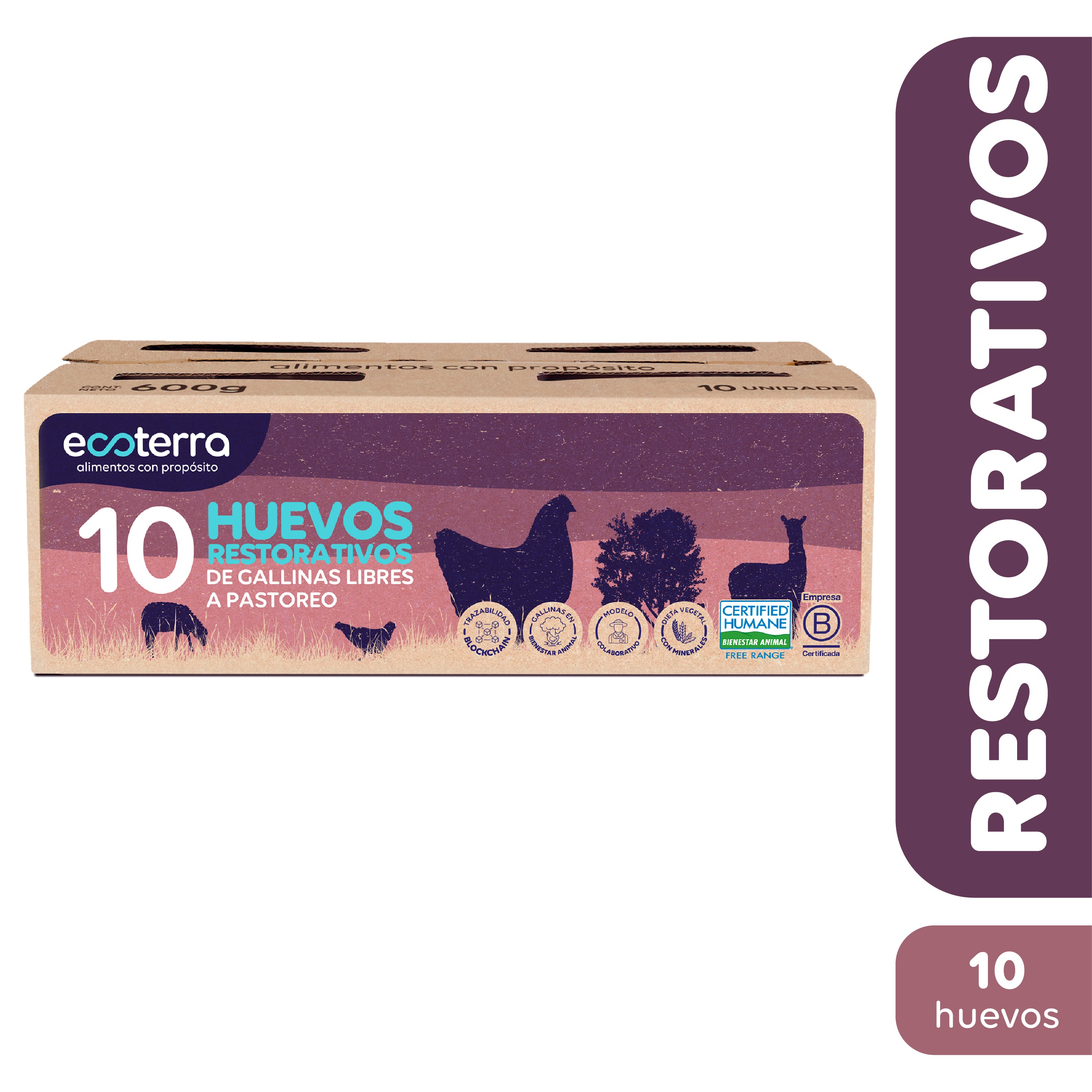 10 Huevos Restorativos de Gallinas Libres a Pastoreo Ecoterra