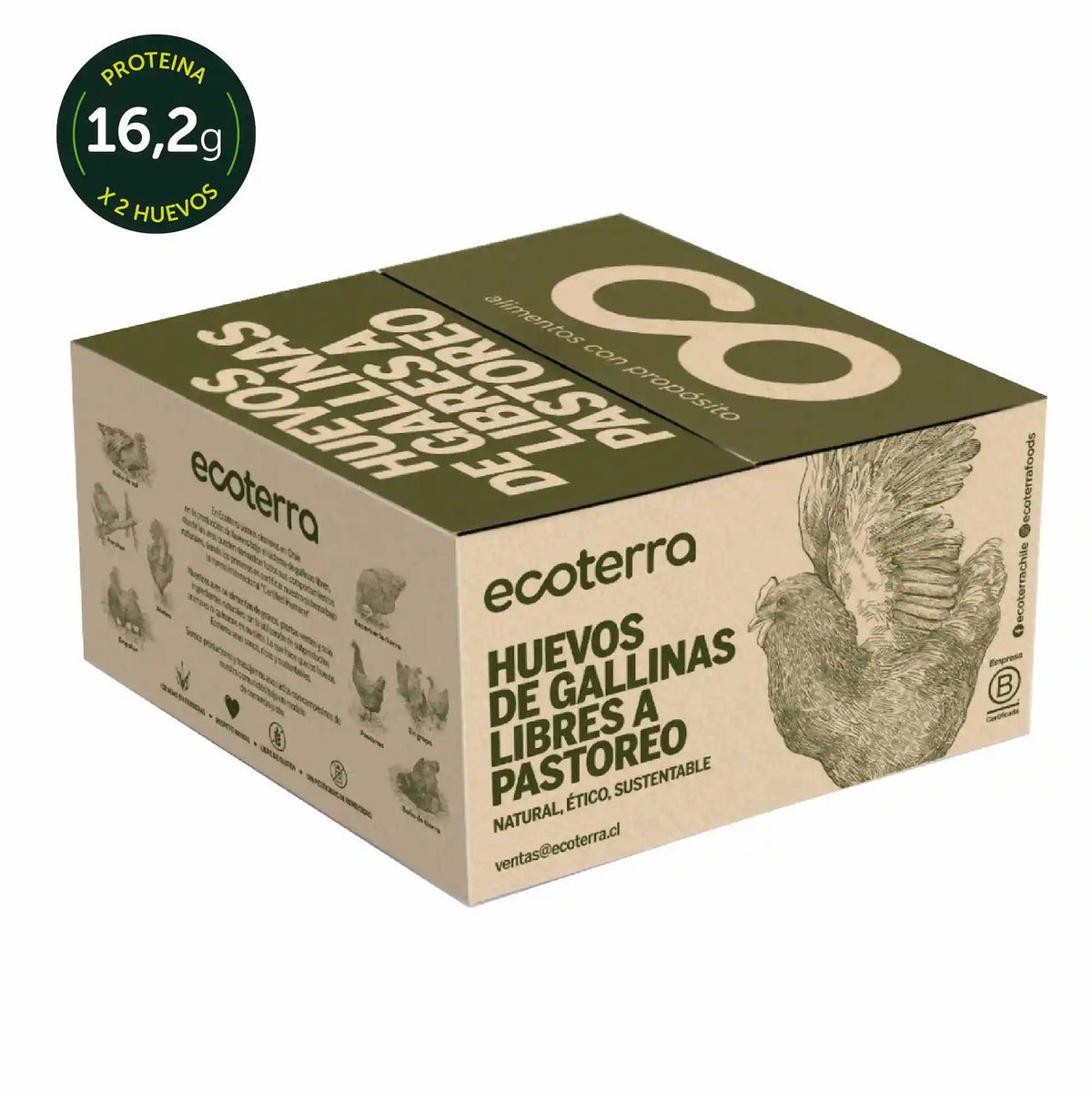 60 Huevos de Gallinas Libres - Calibre XL Ecoterra