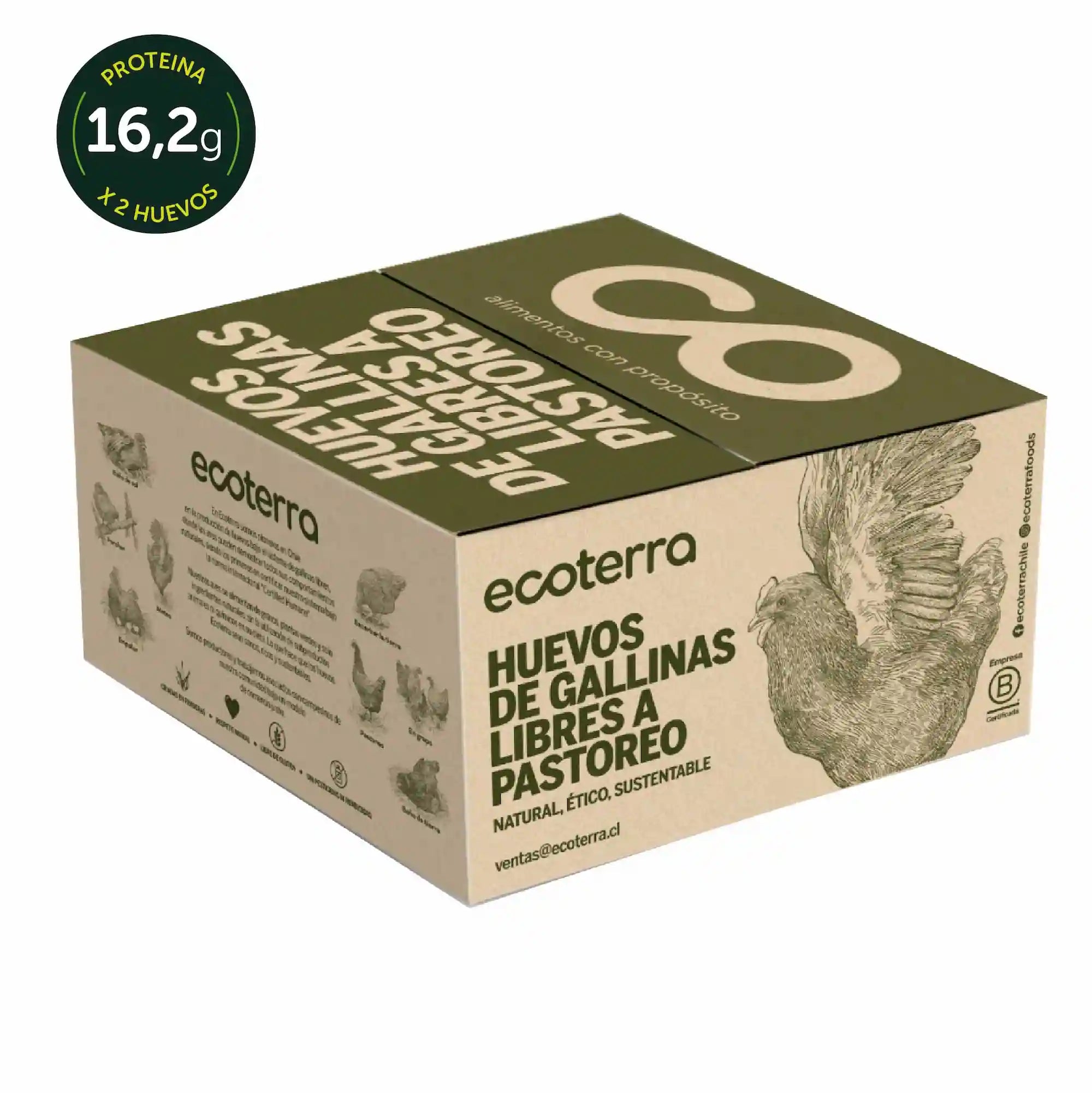 60 Huevos de Gallinas Libres - Calibre XL Ecoterra
