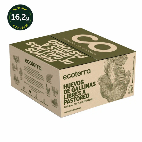 60 Huevos de Gallinas Libres - Calibre XL Ecoterra