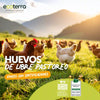 10 Huevos de Gallinas Libres a Pastoreo Ecoterra