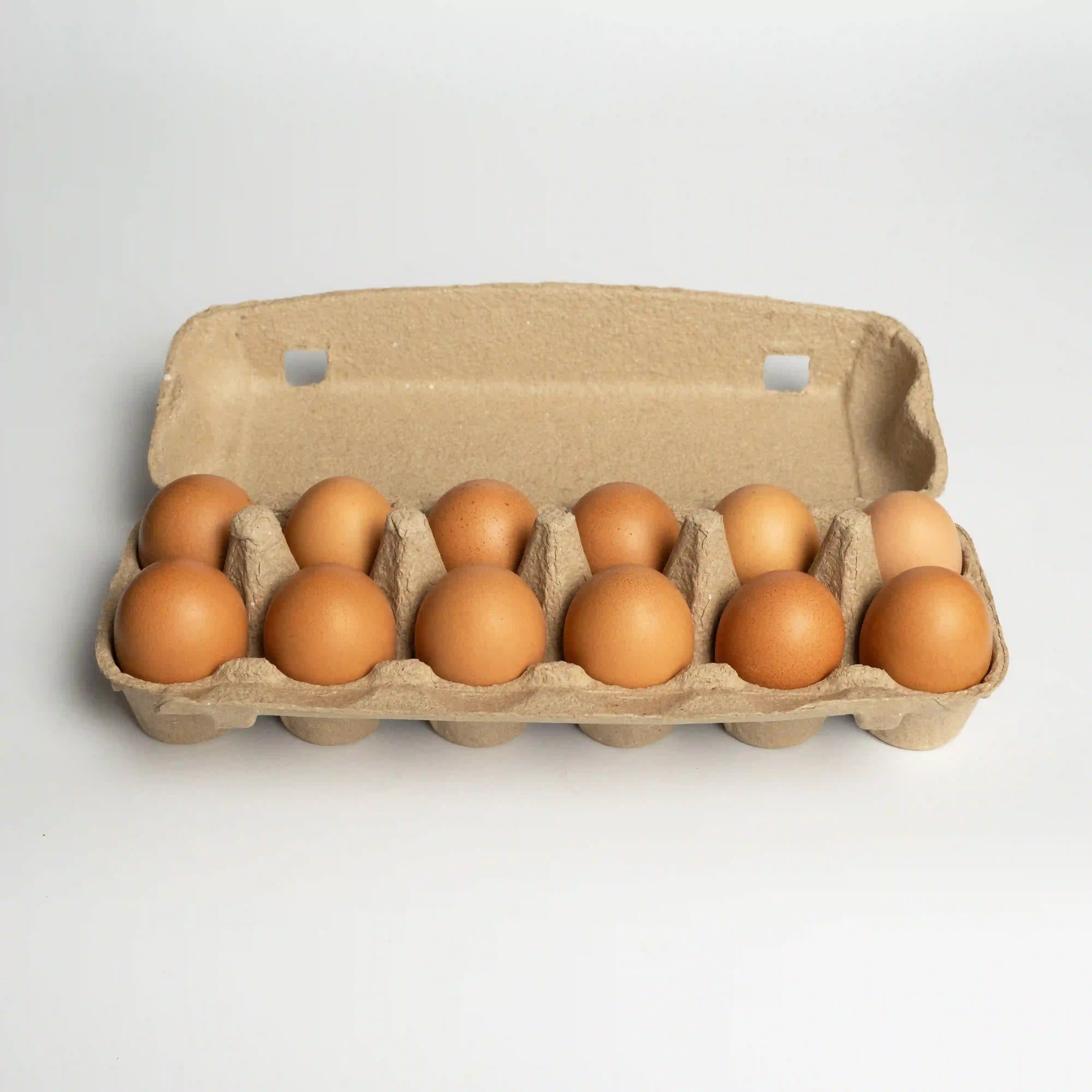 Estuche abierto de 12 huevos frescos de gallinas libres a pastoreo Ecoterra